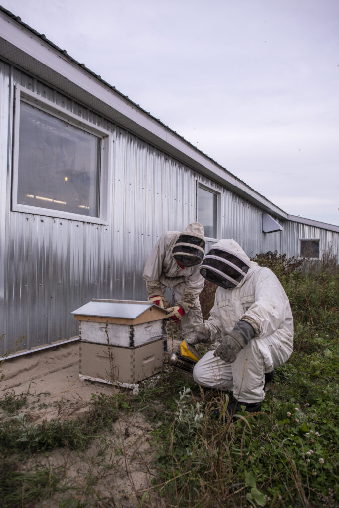 Apiculteurs et ruche d'abeilles